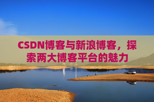 CSDN博客与新浪博客，探索两大博客平台的魅力